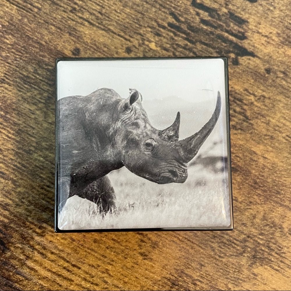 Chantecaille Luminescent Eye Shade - Rhinoceros